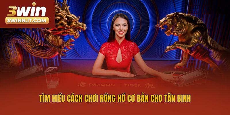 Tìm hiểu cách chơi Rồng Hổ cơ bản cho tân binh